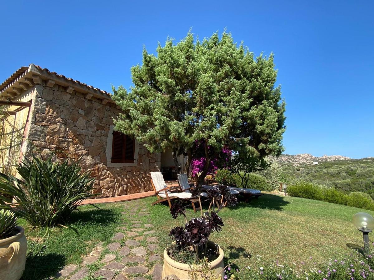 ארזח'ינה B&B La Murichessa מראה חיצוני תמונה